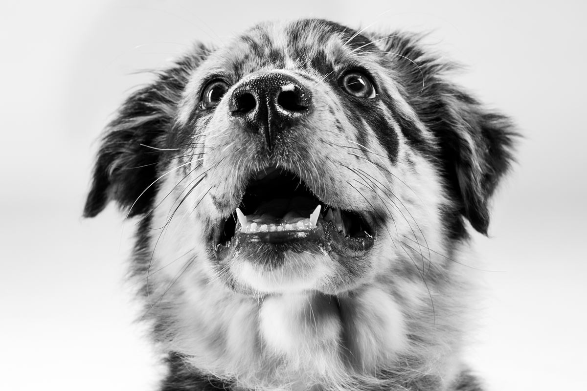 Dedicated to your expectations